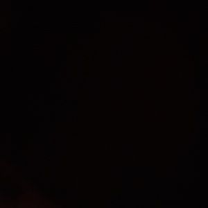 Meet your Posher, Leonardo